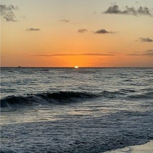 Meet your Posher, Gracie